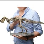 Beeld, T_rex era jurassica 70 cm - 22 cm - hars/plastic