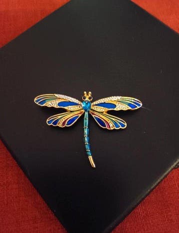 Collection thematique grandes broches libellule – Métal
