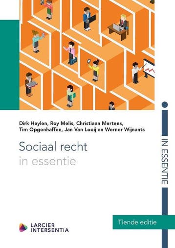Sociaal recht in essentie / In essentie 9789400015944, Boeken, Verzenden, Gelezen, Dirk Heylen