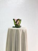 Fish Design - Corsi Design - Gaetano Pesce - Vaas - Indiase