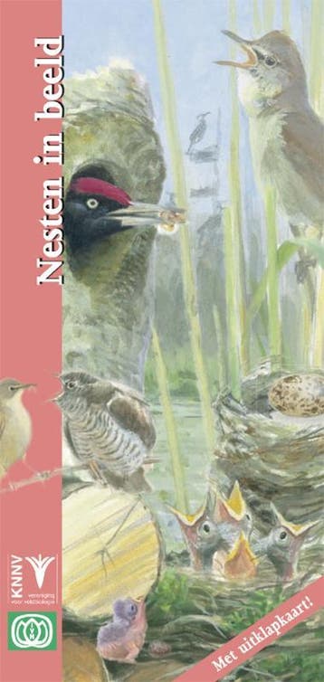 Nesten in beeld / In beeld / 22 9789050113236, Verzenden, Barbara Rijpkema
