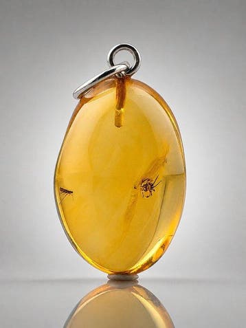 Antieke SPIDER Barnsteen Hanger – Kristalheldere gouden toon
