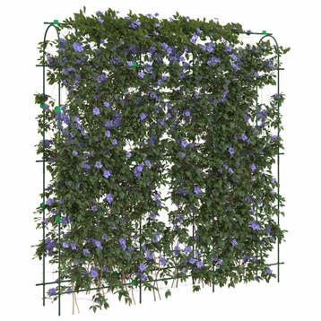 vidaXL Plantenklimrekken 2 st U-frame staal, Tuin en Terras, Verzenden, Nieuw