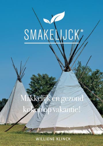 Makkelijk en gezond koken op vakantie! 9789082075052, Verzenden, Williene Klinck