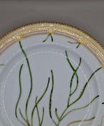 Royal Copenhagen - Assiette - Porcelaine - Flora Danica -