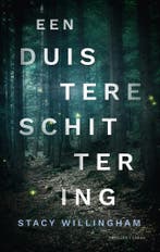Een duistere schittering (9789403163116, Stacy Willingham), Verzenden