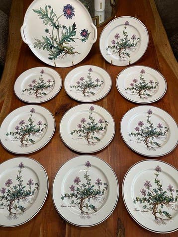 Villeroy & Boch - Eetservies - Porselein - Botanica