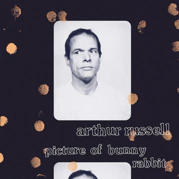 Arthur Russell - Picture Of Bunny Rabbit, Verzenden, Gebruikt