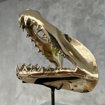 sculptuur, Finest detail, bronze-cast Mako Shark Jaws -