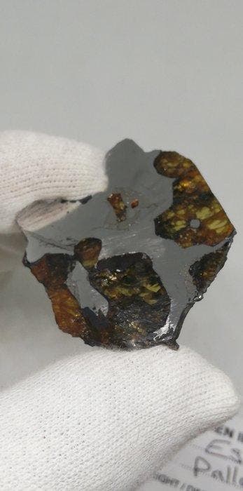 Météorite dEsquel Météorite de fer - 16.06 g
