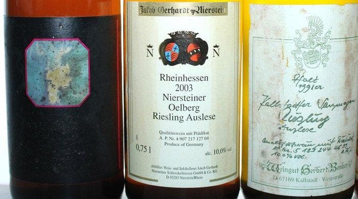 1989 + 1990 + 1994 + 1998 + 2003 Riesling Auslese (x5) +, Collections, Vins