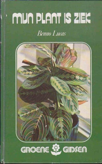 Myn plant is ziek - Lucas, Boeken, Verzenden, Nieuw