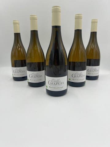 2021 Domaine Chapuis - Bourgogne - 6 Flessen (0.75 liter)