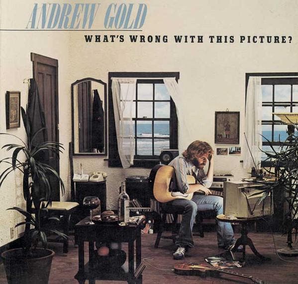 Andrew Gold - Whats Wrong With This Picture?, Cd's en Dvd's, Vinyl | Pop, Gebruikt, Verzenden