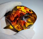 Dominicaanse barnsteen!! AAA-kwaliteit- 42 g
