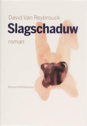 Slagschaduw 9789085420859 D. Van Reybrouck, Verzenden, Zo goed als nieuw, D. Van Reybrouck