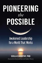 Pioneering the Possible 9781583948620 Scilla Elworthy, Verzenden, Scilla Elworthy