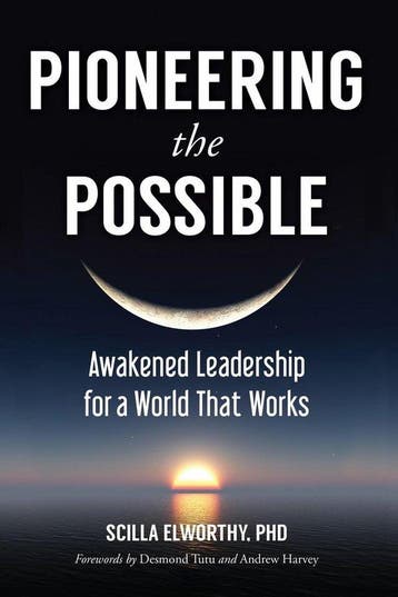 Pioneering the Possible 9781583948620 Scilla Elworthy, Verzenden, Gelezen, Scilla Elworthy