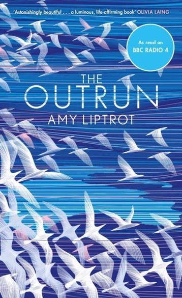 The Outrun 9781782115472 Amy Liptrot, Verzenden, Amy Liptrot
