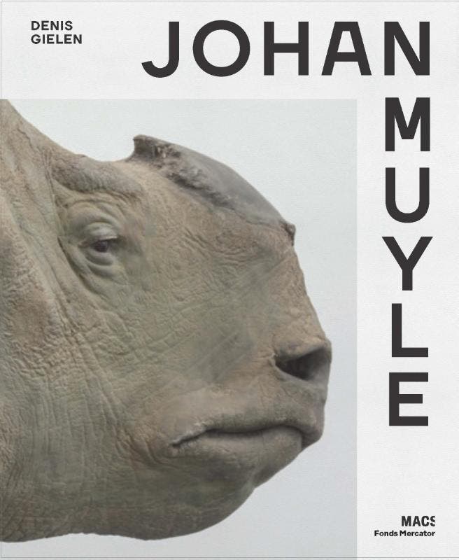 Johan Muyle 9789462302693 Denis Gielen, Boeken, Taal | Engels, Zo goed als nieuw, Verzenden