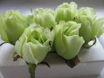 Zijden Roosjes Lichtgroen 5-6 cm 10 stuks, Nieuw