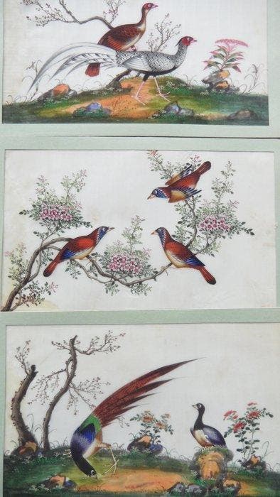Vogels op rijstpapier (11 stuks) - Onbekende kunstenaar -, Antiquités & Art, Antiquités | Autres Antiquités