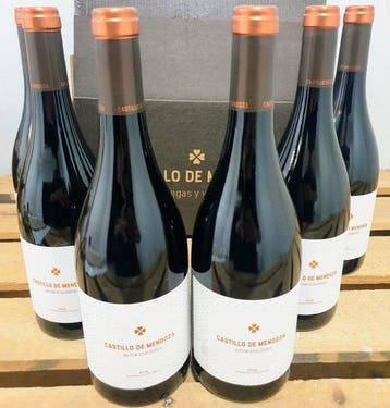 2021 Castillo de Mendoza, Autor Ecológico - Rioja DOCa - 6, Nieuw