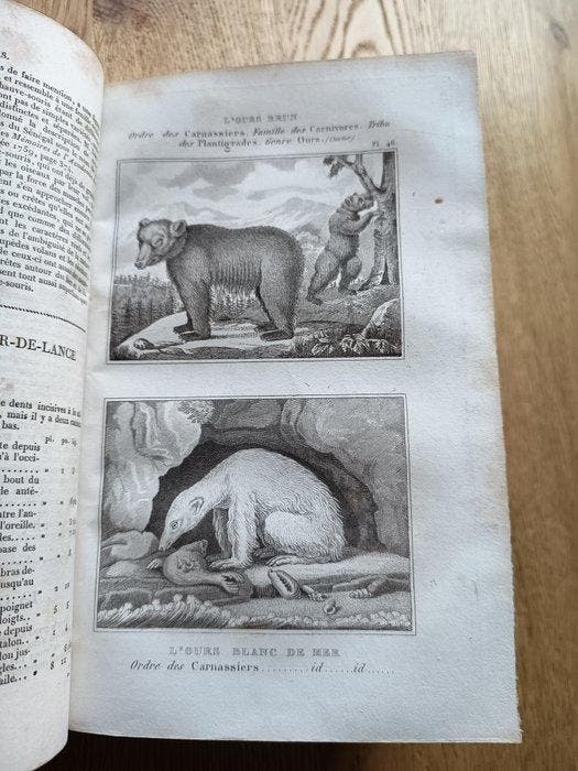 Buffon / G. Cuvier - Oeuvres complètes de Buffon. (...) et, Antiek en Kunst, Antiek | Boeken en Manuscripten