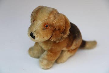 Steiff: Bazi de jonge teckel, circa 1955 - Teddybeer -
