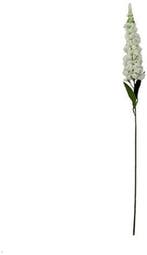 Delphinium Ivory Zijdenbloem 72 cm per stuk, Nieuw