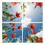 Klaprozen plafond Fotoprint verdeeld over 4 panelen 60x60 cm, Verzenden, Nieuw