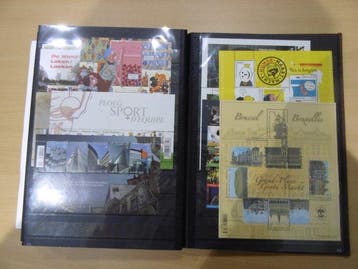 Belgique 2011 - Presque une année complète, timbres, blocs,