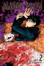 Jujutsu Kaisen Volume 2, Livres, Verzenden