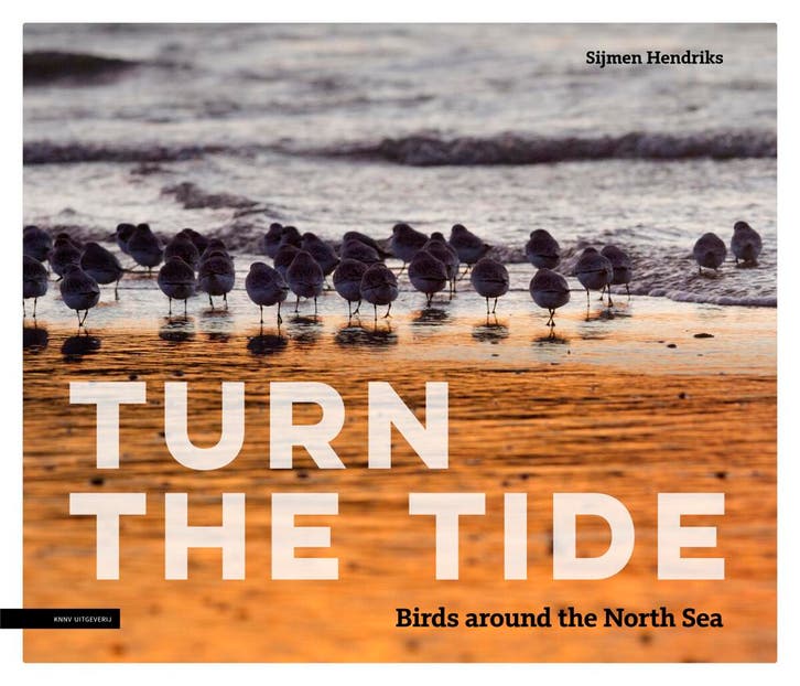 Turn the tide 9789050116978 Sijmen Hendriks, Boeken, Hobby en Vrije tijd, Gelezen, Verzenden