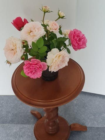 Plantentafel - Elegante houten plantentafel / bijzettafel