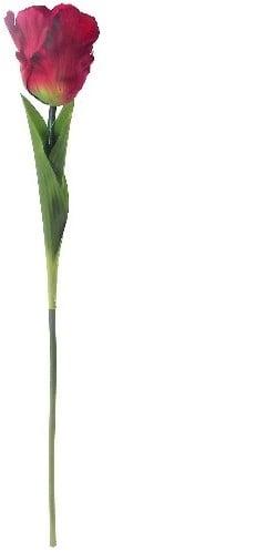 Parkiettulp Rood Zijden 56 cm per stuk