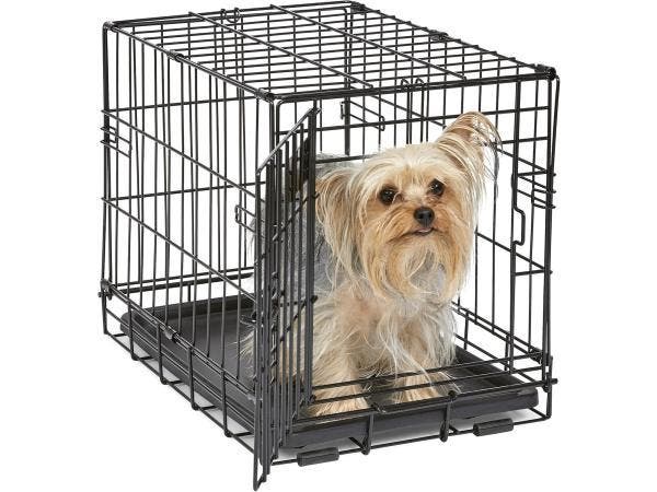 Veiling - MidWest iCrate - Hondenkooi - 47,3L x 31,5B x 36,8, Dieren en Toebehoren, Hondenbenches