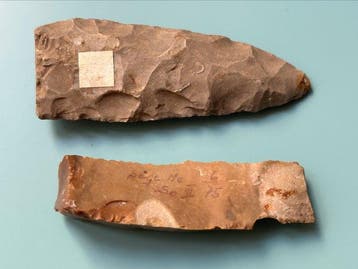 Neolithisch Steen gereedschappen - 8.5 cm (Zonder, Antiek en Kunst