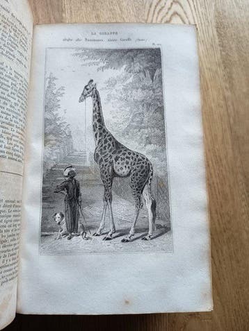 Buffon / G. Cuvier - Oeuvres complètes de Buffon. (...) et, Antiek en Kunst