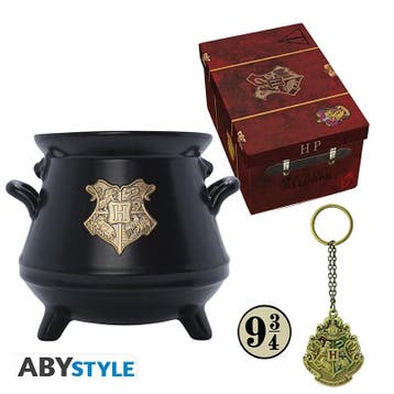 Harry Potter Premium Gift Set (Mok, Pin & Sleutelhanger), Ophalen of Verzenden
