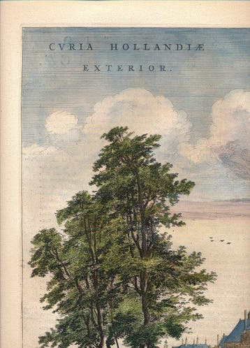 Pays-Bas - La Haye, Buitenhof; Joan Blaeu - Cvria Hollandiae, Nieuw