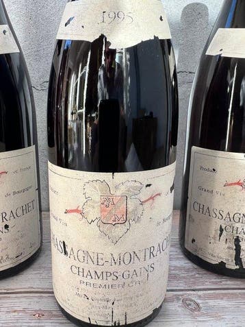 1995 Domaine Jean Marc Morey Champs Gains rouge -, Nieuw