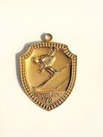 Japan. 1972 / Sapporo Winter Olympics commemorative medal, Collections