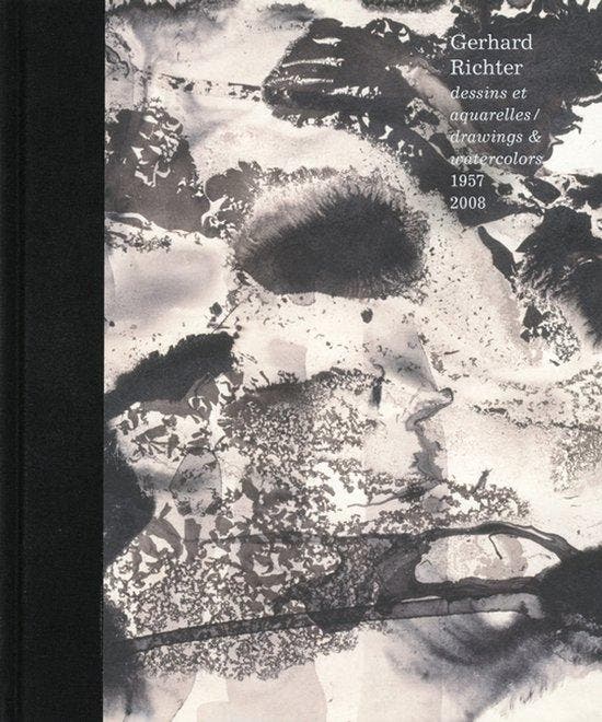 Gerhard Richter 9791090490147 Dieter Schwarz, Boeken, Taal | Engels, Gelezen, Verzenden