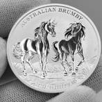 Australië. 1 Dollar 2025 – Brumby – 1 oz Silver .9999 – BU –