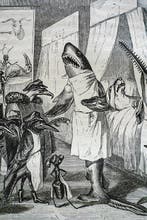 P. J. Stahl & Grandville - Vie privée et publique des