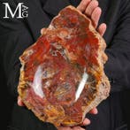 Vide-poche en bois pétrifié fait main - une fusion