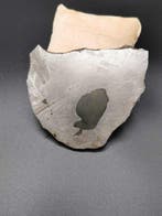 Gibeon meteoriet IJzer meteoriet - 180 g