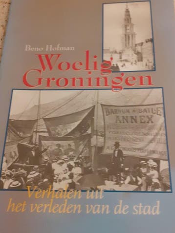 Woelig Groningen 9789033011177 B. Hofman, Verzenden, Gelezen, B. Hofman