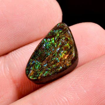 Natuurlijke ammoliet cabochon met fraaie vorm, losse